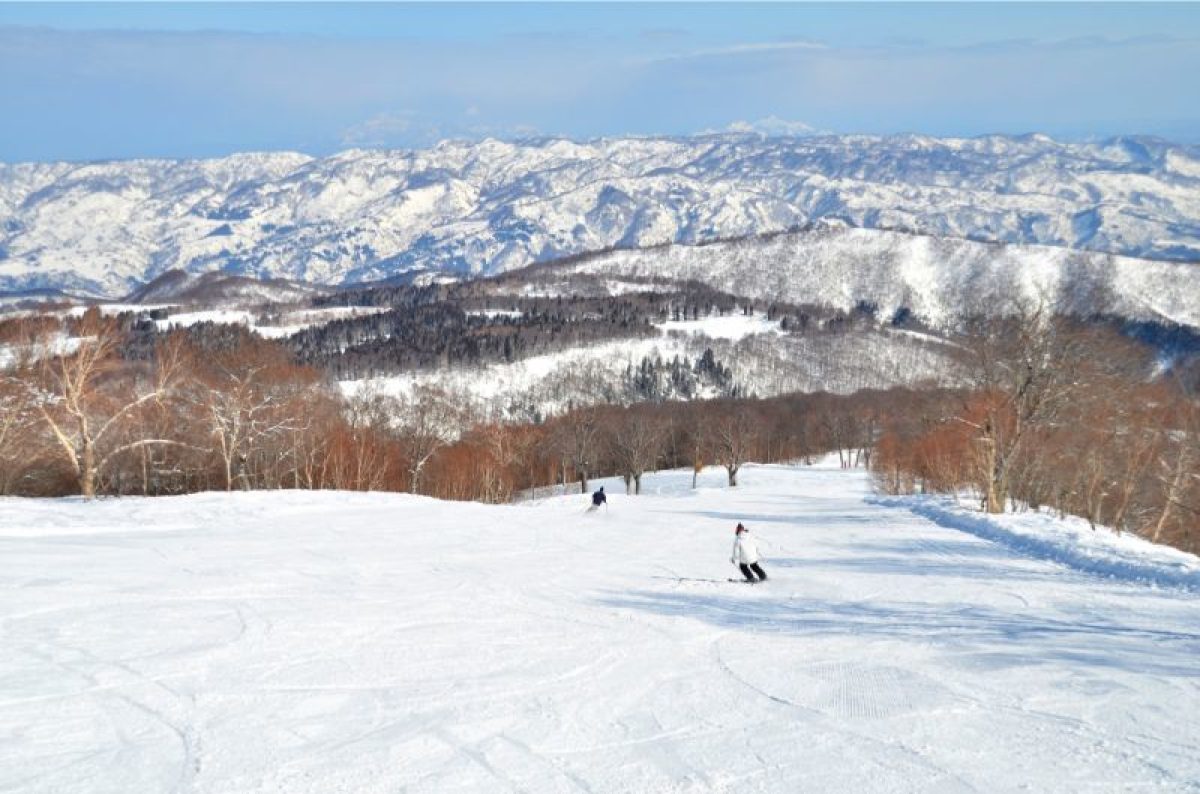 2022.12.20粉雪滑雪場